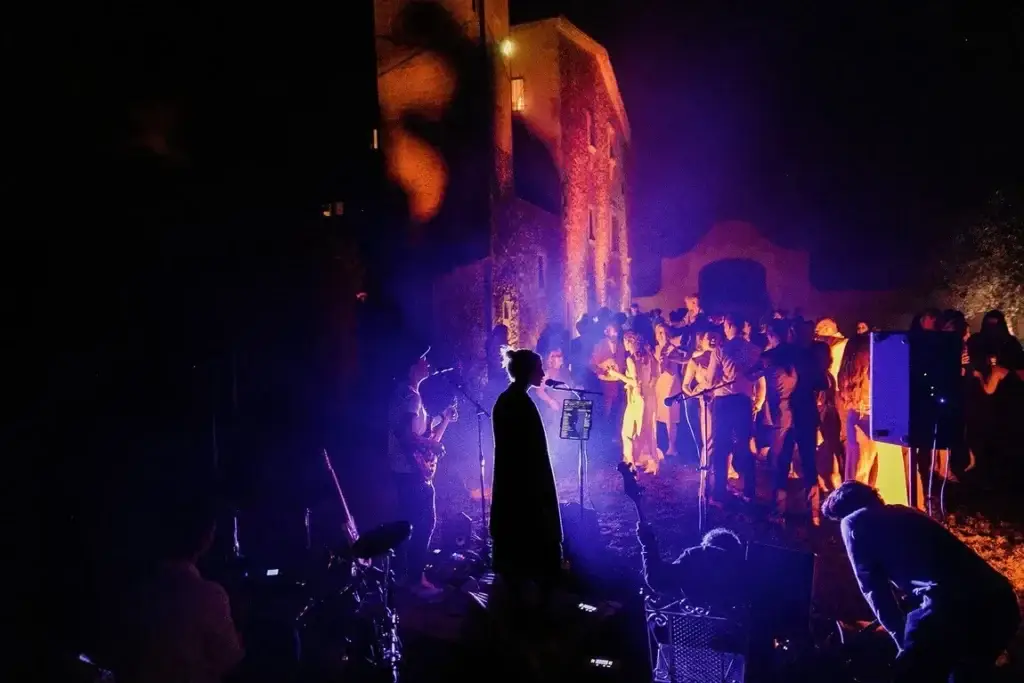 Concierto nocturno con luces moradas, músico en primer plano y público al fondo disfrutando.